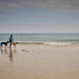 Two people with three dogs walking along a sandy beach.
