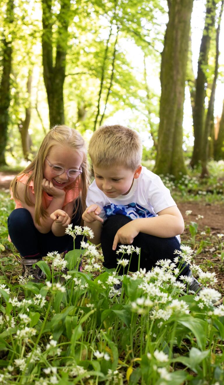 girl and boy in woods looking at wild garlic.