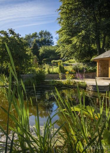 Ein Teich mit einem hölzernen Pavillon umgeben von grünen Pflanzen.
