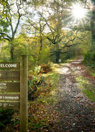 A wooden sign at the entrance to a native woodland.