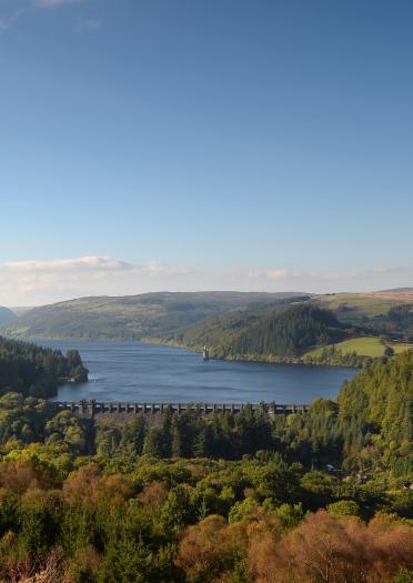 Looking down on Lake Vyrnwy and surrounding forests and hills.