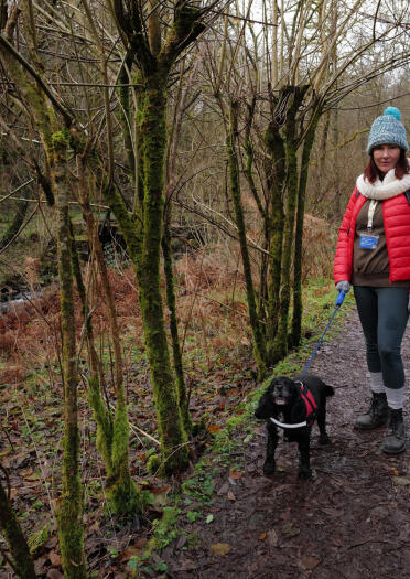 A woman and a dog on a woodland path.