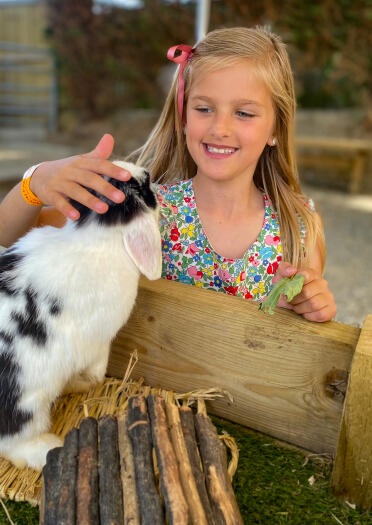 girl stroking rabbit.