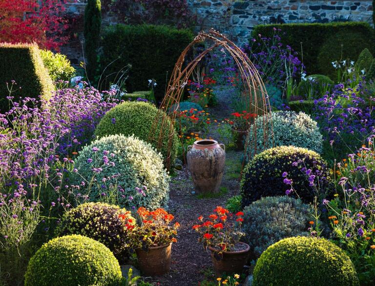 garden with plants, small shaped topiary and small willow arch.