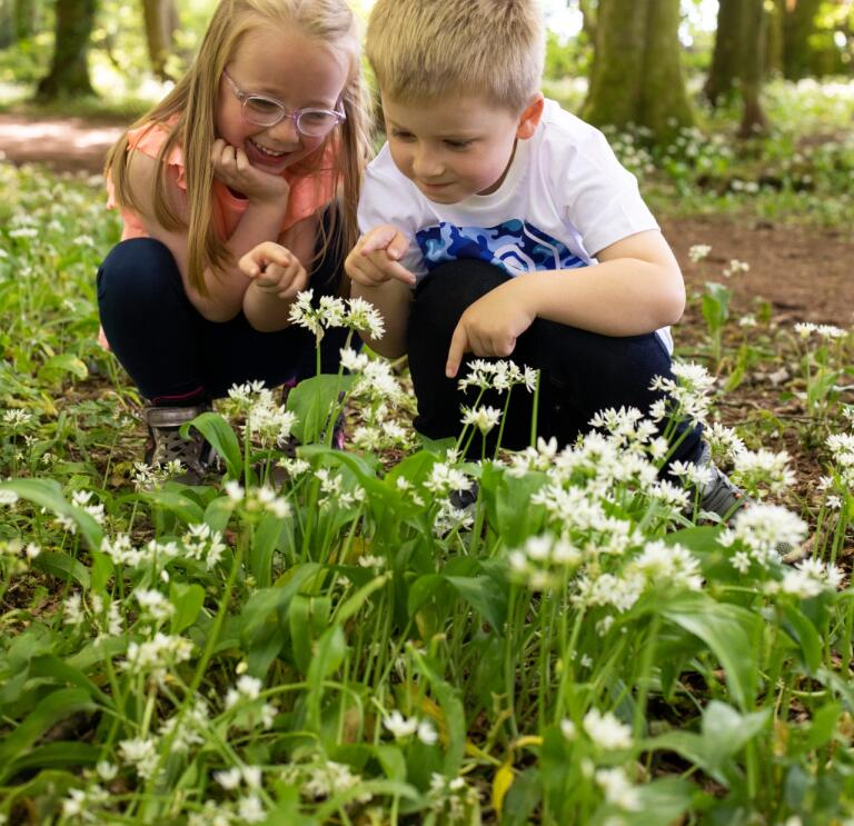 girl and boy in woods looking at wild garlic.
