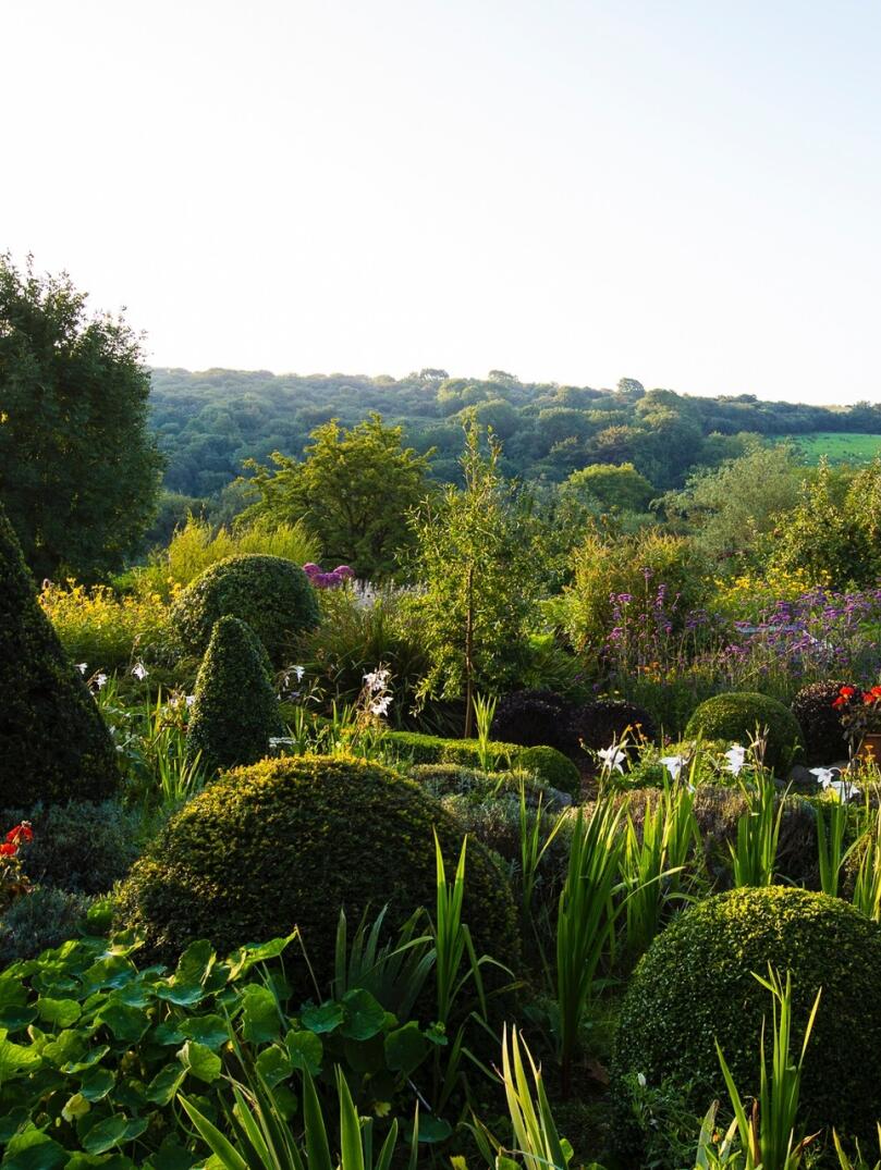 Blick auf einen Garten mit kunstvoll geschnittenen Hecken und Büschen.