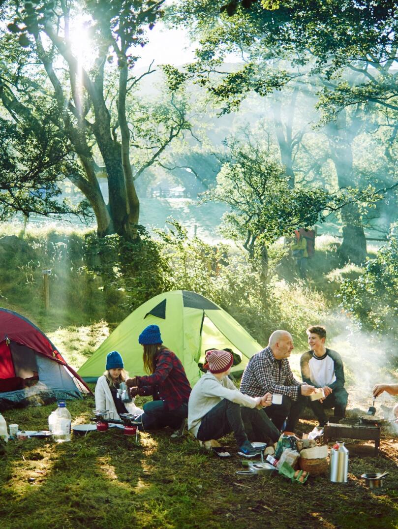 Three small tents pitched on grass with trees behind. A group of people are sat on the ground outside cooking over a camping stove.
