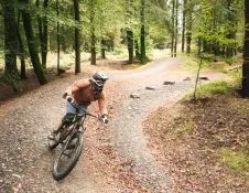 A mountain biker riding downhill on a dirt track amongst forestry.