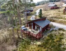 aerial view of cabins in forest.