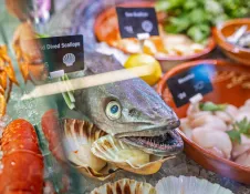 Fresh seafood display at The Custom House featuring monkfish, scallops and lobster arranged on ice behind a glass counter.