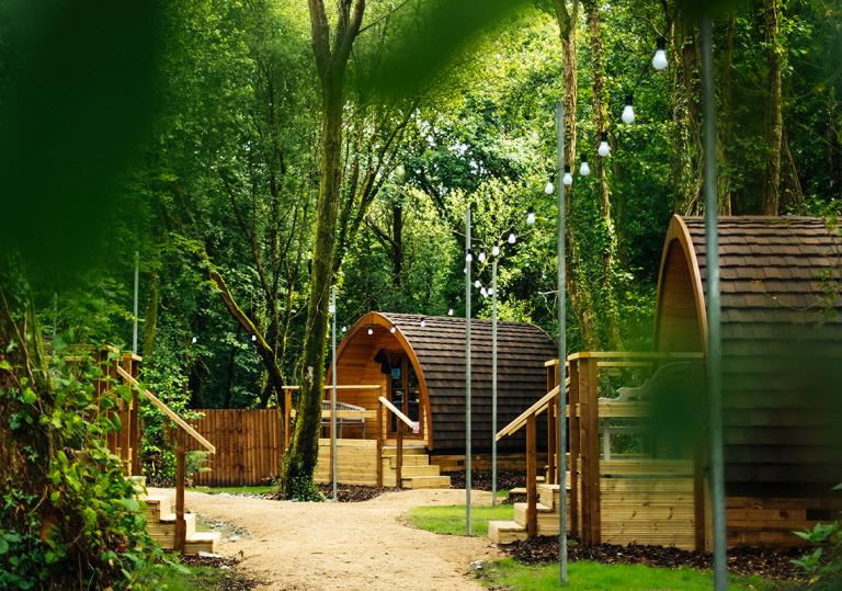 Glamping pods made of wood set in a forest.
