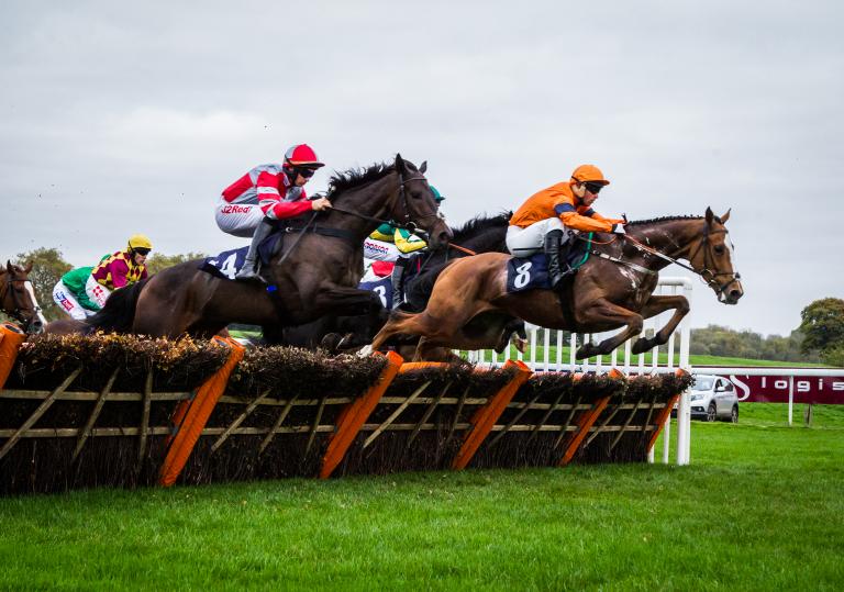 Race horses jumping a fence