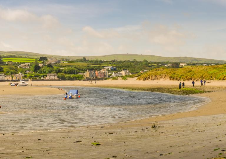 Groups of people foraging on a Pembrokeshire beach.