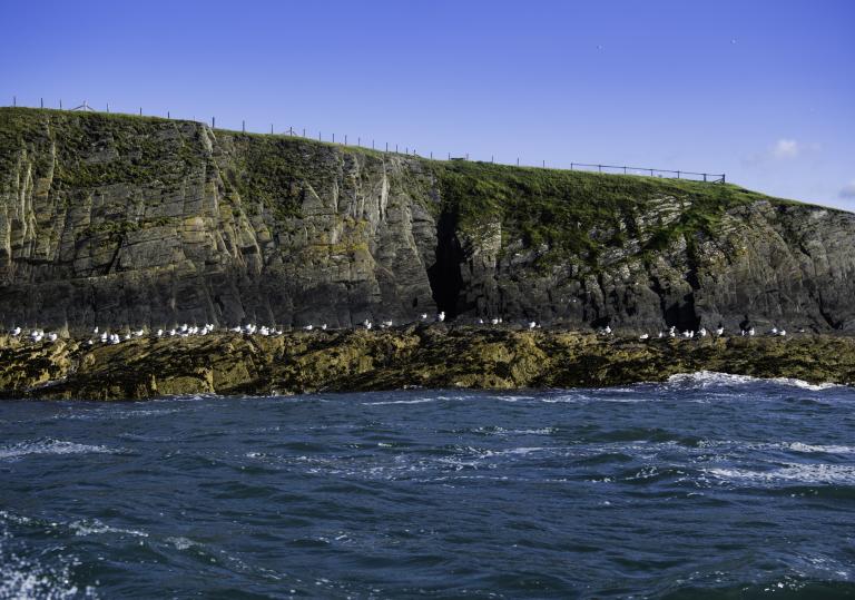 A view of the sea and cliffs at Cardigan Bay