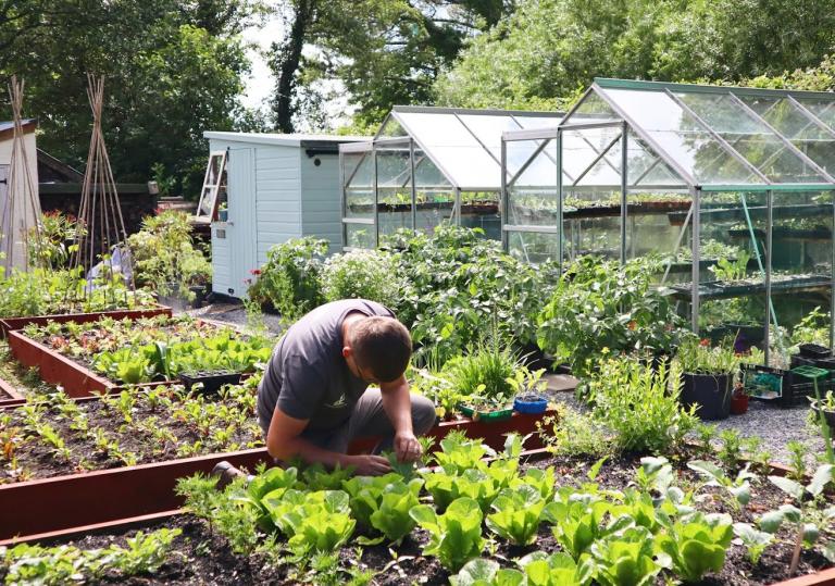 Gardener working in a garden with greenhouses and plants.