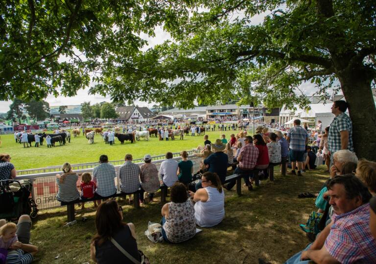 A crowd of people sitting on benches under a tree watching the Main Ring at The Royal Welsh Agricultural Show
