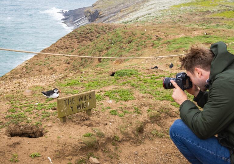 A photographer taking a photo of a puffin on an island.