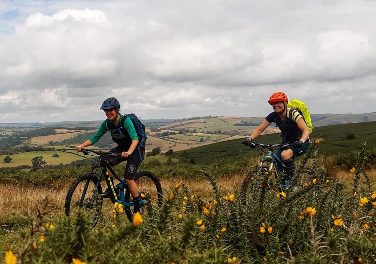 Two women with orange and blue helmets and backpacks on mountain bikes in the green countryside and with yellow flowers in the foreground 