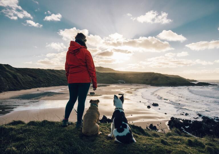 A person in a red jacket standing with two dogs looking out on a sandy bay.