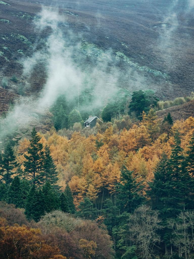 Image of a house in the middle of an autumnal forest, surrounded by mist