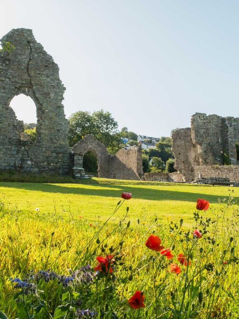 The ruins of a Priory amongst lush green lawns and wild flowers.