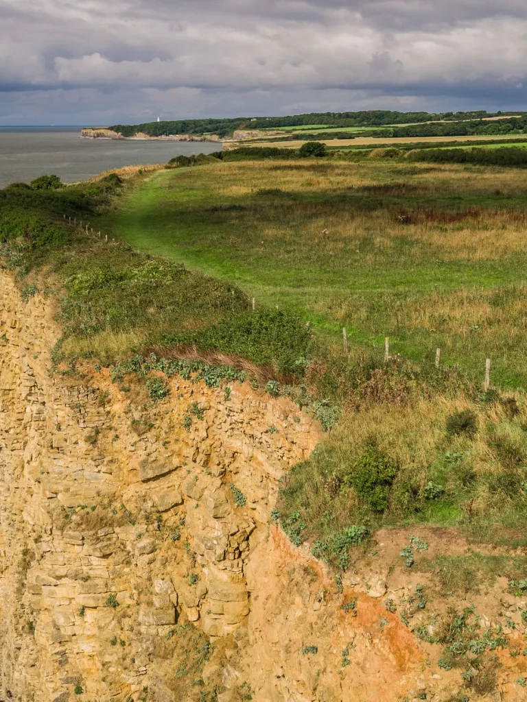 Pathways along the coastline from above.