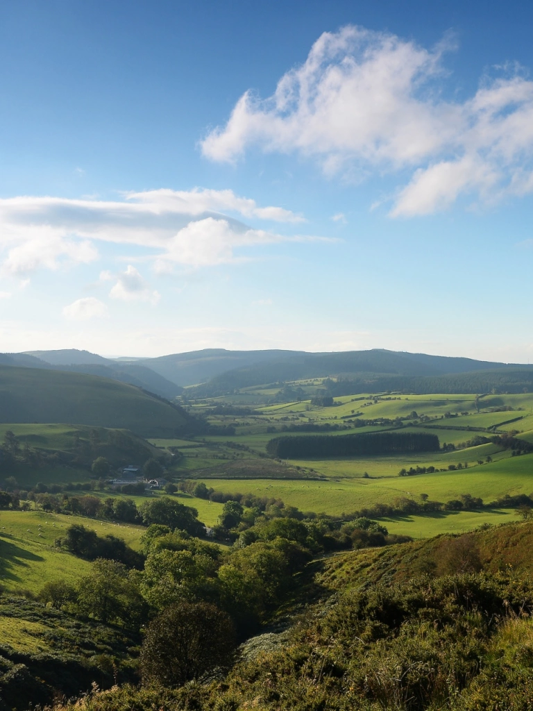 Bei Bwlch-y-Sarnau auf dem Glyndŵr's Way, Mittelwales.