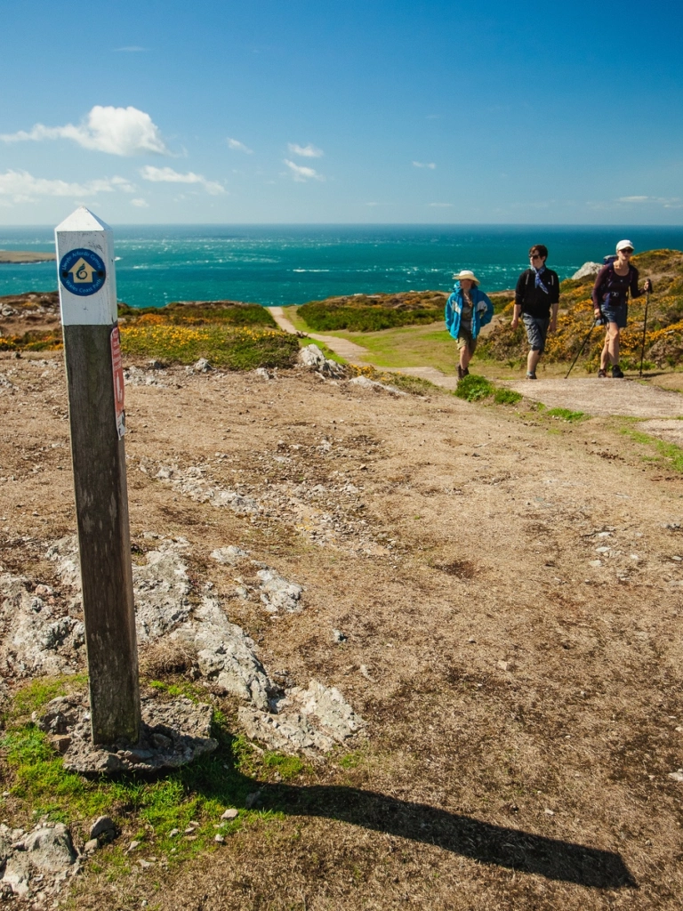 Walkers on Mynydd Mawr with the sea in the background.