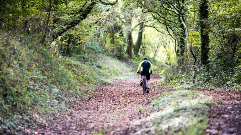 Distant view of cyclist from behind on a woodland track