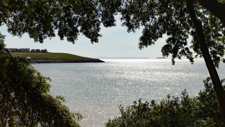 Sparkling views of the sea from between two trees close to Barry, South Wales.