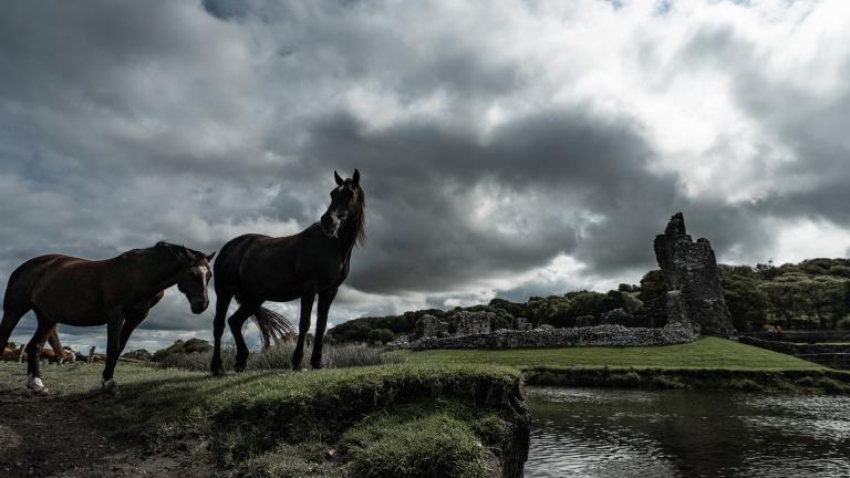 Two horses by a river and ruined castle.