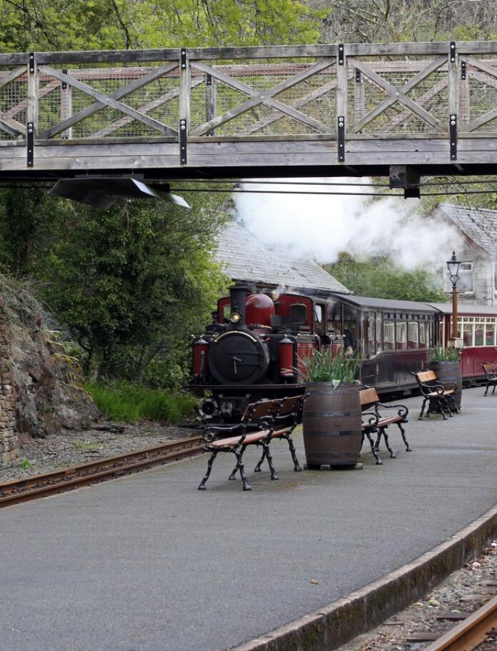 A steam train and carriages travelling under a bridge pulling into a station.