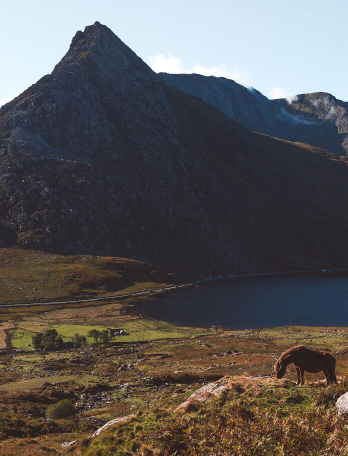 A lake beneath a pointy mountain, with a pony eating grass in the foreground.