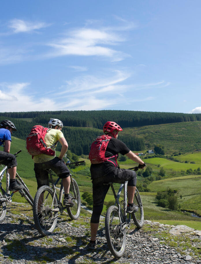 Drei Mountainbiker die über die grüne Landschaft in Ceredigion blicken. 