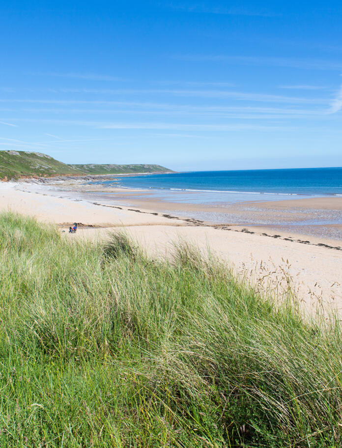 long grass in the foreground with sandy beach and blue sea and sky in background