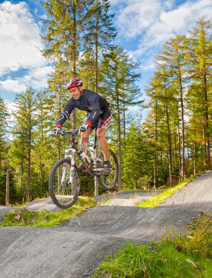 Mountain bikers practicing jumps on humps surrounded by pine trees.