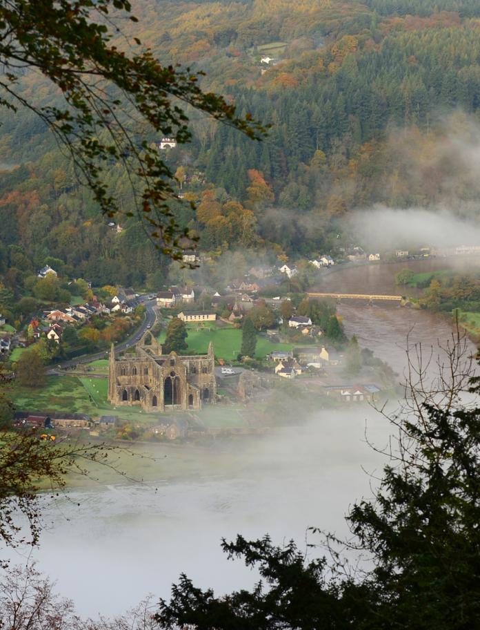 Blick auf die Klosterruine umrahmt von herbstfarbenen Blättern und Nebelschwaden.
