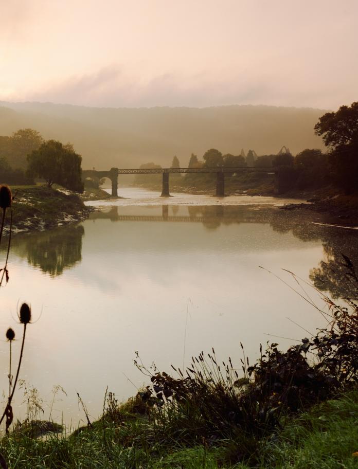 A landscape image of plants in the foreground and a bridge over the River Wye in the background
