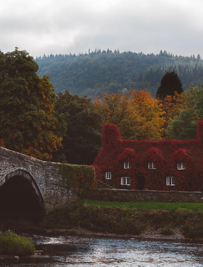 Stone bridge over a river leading to Tu Hwnt i’r Bont’ tearoom, a cottage covered with red, Virginia Creeper ivy 