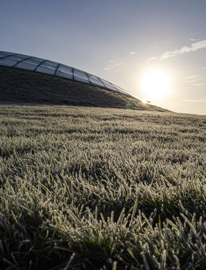 A field of frosty grass with the glass dome of the botanic garden in background