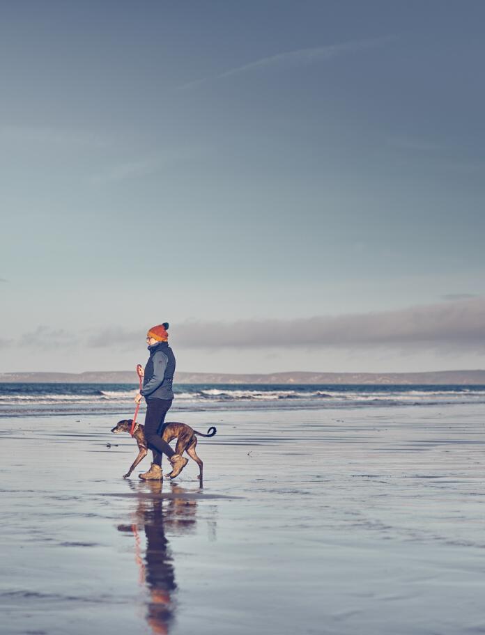 A woman and dog walking on a beach.