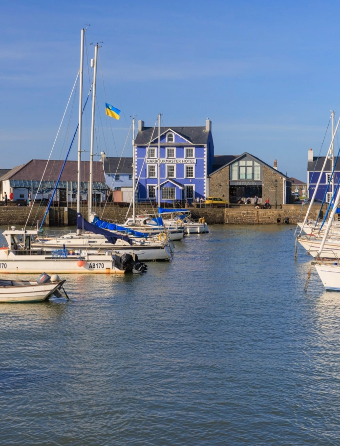 A sailing boat filled harbour with colourful buildings on the harbourside.