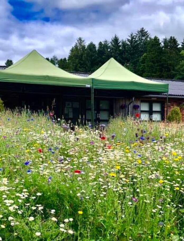 A summer's day showing the Bothy café and culture hub. It has green awnings and depicts the summer meadow flowers in the foreground.