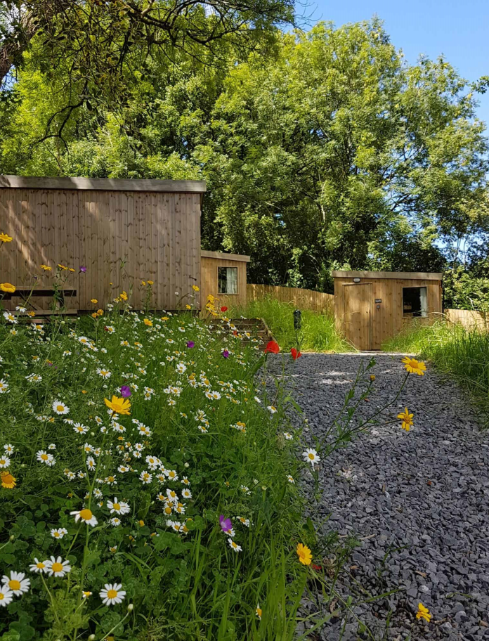 Summer exterior shot of wooden cabins surounded by summer meadow flowers.