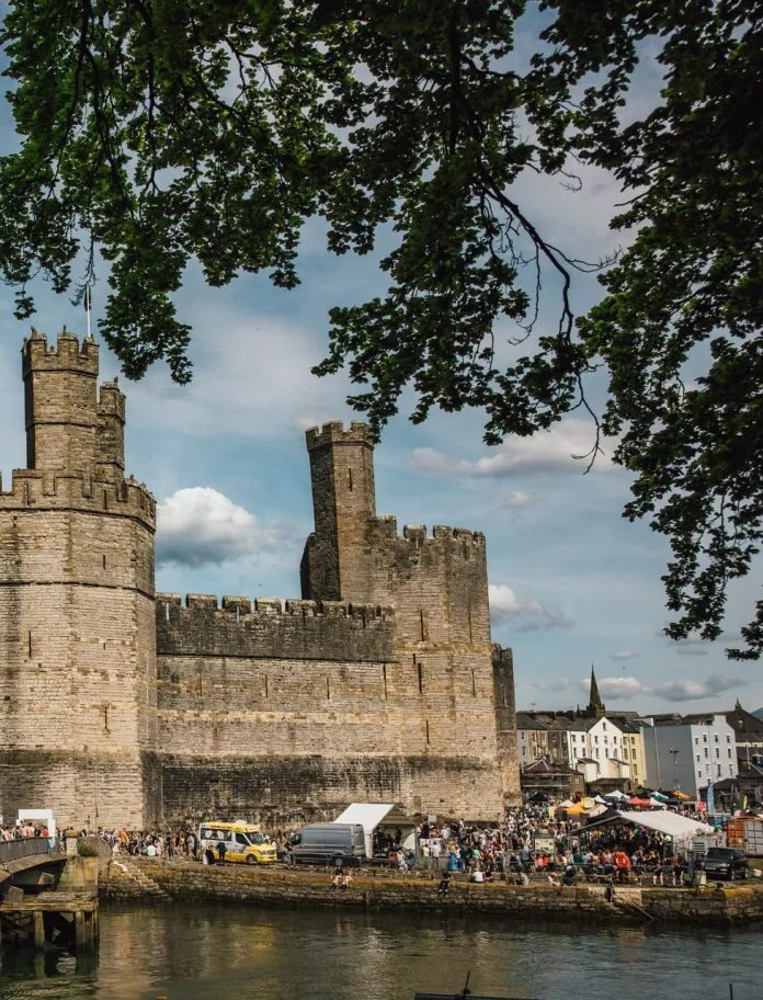 A food festival with stall and many people looking round, underneath a huge stone castle.