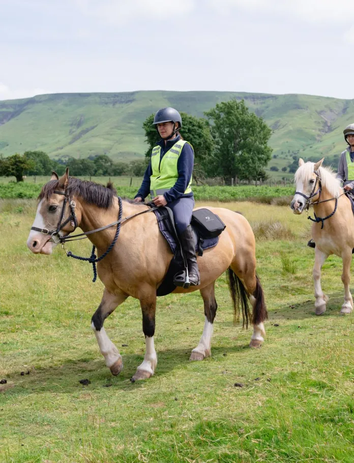 Three people riding horses in the countryside.