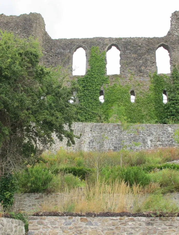Efeu bewachsene Burgruine und Baum.