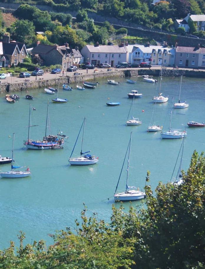 A large harbour full of smll boats.