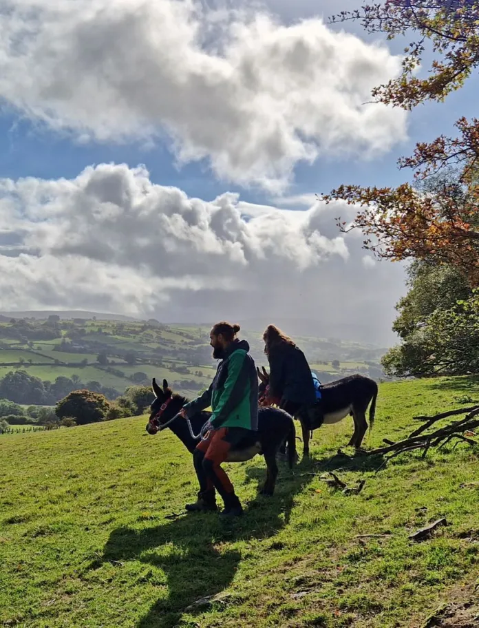 Two people walking alongside miniature donkeys in the countryside. 