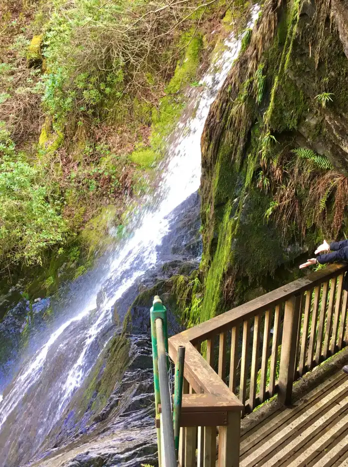 Woman on a viewing platform looking at a waterfall.